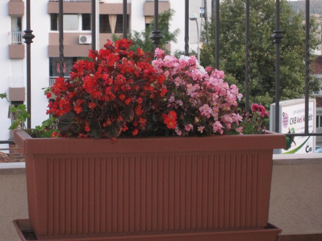 Apartments City Center Tivat Exterior foto